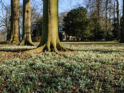 25 Stinzenwandeling Oud-Amelisweerd
